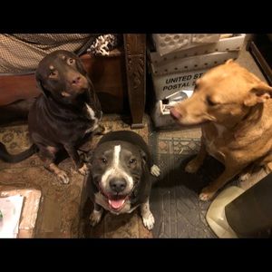 Meet your Posher, Laura